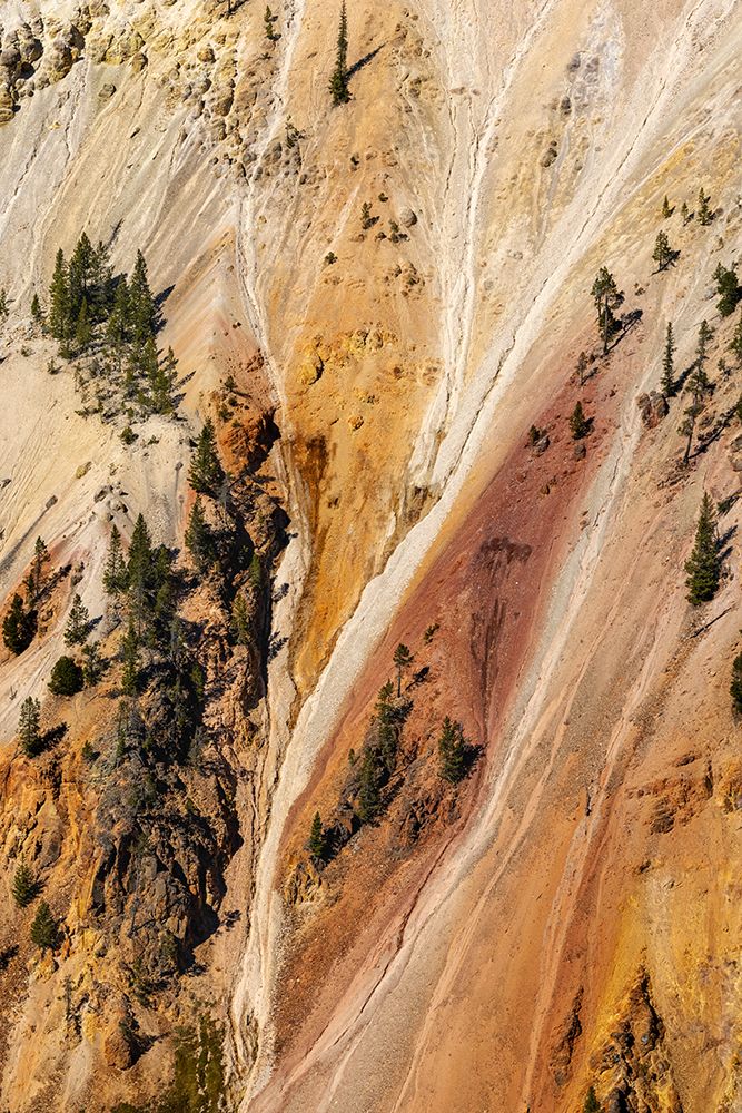 Steep colorful canyon walls of hydrothermally altered rhyolite-Grand Canon of the Yellowstone art print by Adam Jones for $57.95 CAD