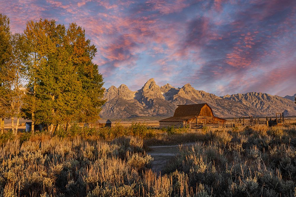 Moulton barn at sunrise and Teton Range-Grand Teton National Park-Wyoming art print by Adam Jones for $57.95 CAD