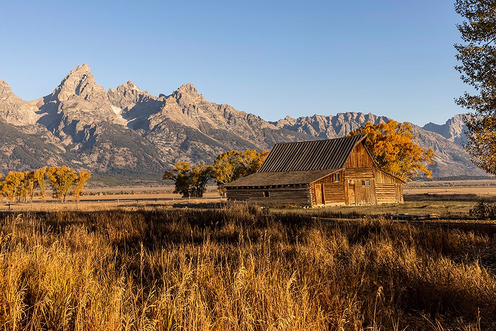 Moulton barn at sunrise and Teton Range-Grand Teton National Park-Wyoming art print by Adam Jones for $57.95 CAD