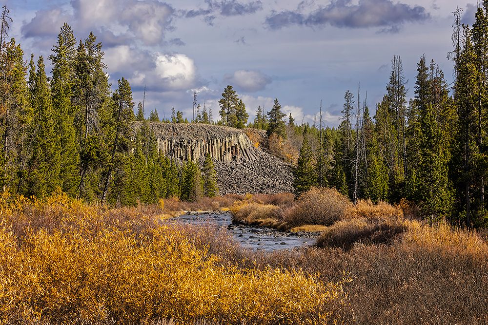 Columnar basalt formation at Sheepeater Cliffs-Yellowstone National Park-Wyoming art print by Adam Jones for $57.95 CAD