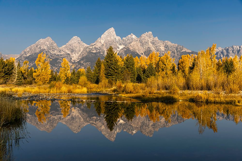 Teton Range from Schwabacher Landing-Grand Teton National Park-Wyoming art print by Adam Jones for $57.95 CAD