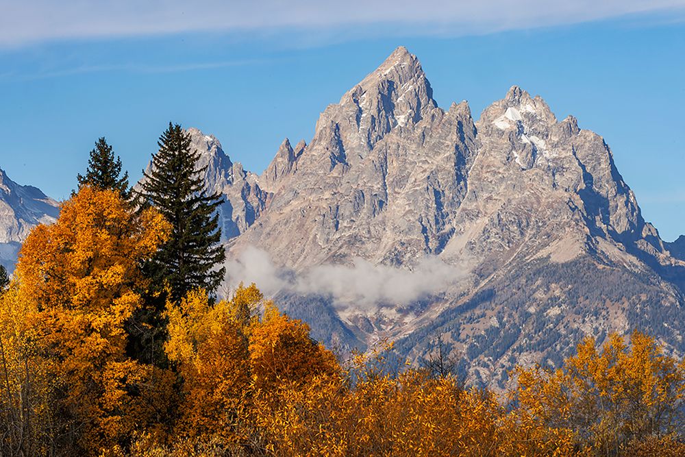 Golden aspen trees and Cathedral Group-Grand Teton National Park-Wyoming art print by Adam Jones for $57.95 CAD
