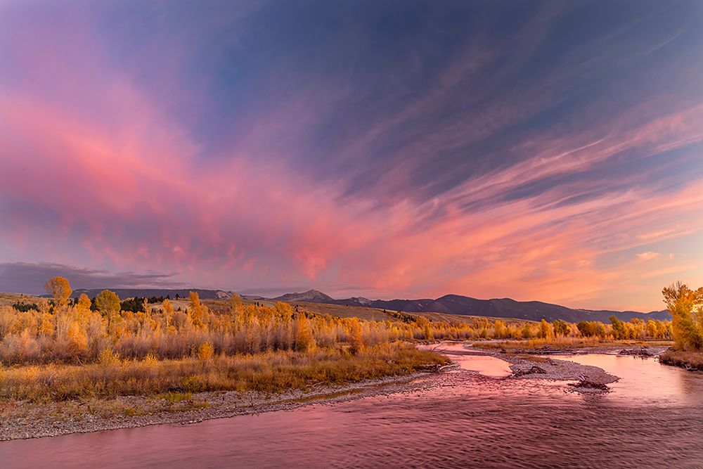 Golden cottonwood and aspen trees at sunset Gros Ventre River-Grand Teton National Park-Wyoming art print by Adam Jones for $57.95 CAD