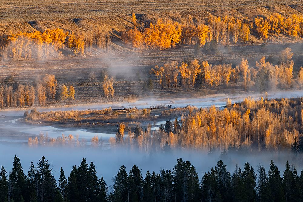 Elevated view of aspen and cottonwood trees mist along Snake River-Grand Teton National Park-Wyoming art print by Adam Jones for $57.95 CAD