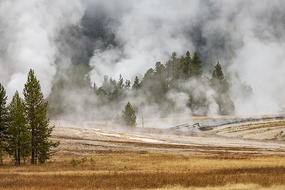 Grasses and mist in autumn meadow-Upper Geyser Basin-Yellowstone National Park-Wyoming art print by Adam Jones for $57.95 CAD