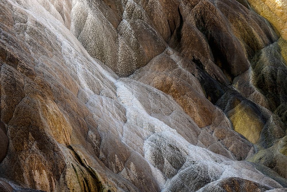 Colorful travertine slope with yellow and brown cyanobacteria-Mammoth Hot Springs art print by Adam Jones for $57.95 CAD