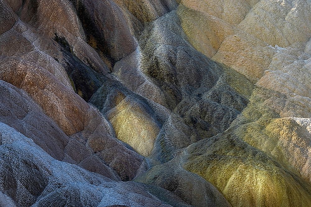 Colorful travertine slope with yellow and brown cyanobacteria-Mammoth Hot Springs art print by Adam Jones for $57.95 CAD
