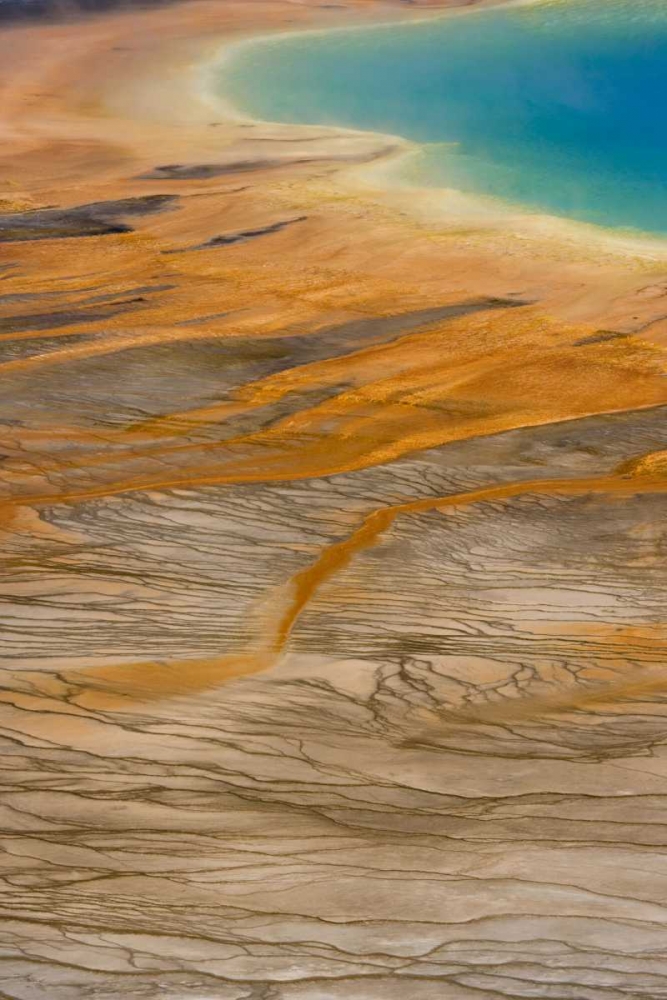 WY, Yellowstone Grand Prismatic Spring art print by Don Paulson for $57.95 CAD