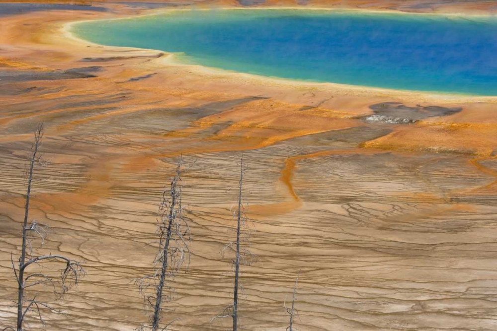 WY, Yellowstone Colorful Grand Prismatic Spring art print by Don Paulson for $57.95 CAD