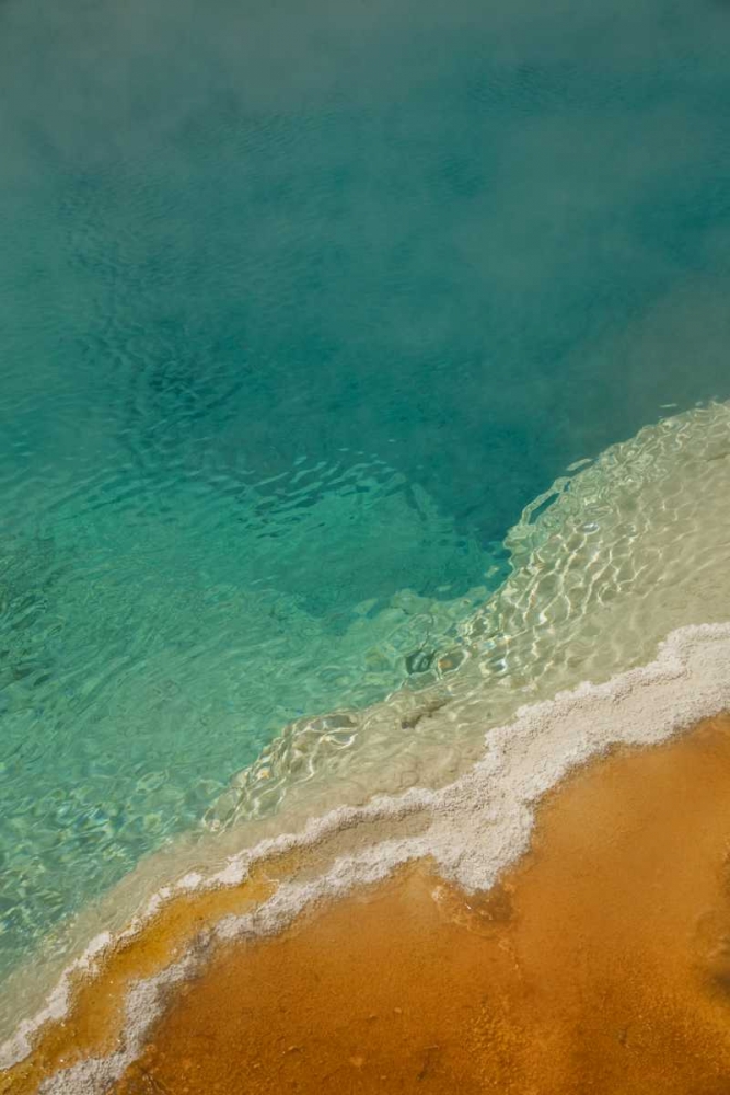 WY, Yellowstone Thermophilic algae in Black Pool art print by Don Grall for $57.95 CAD