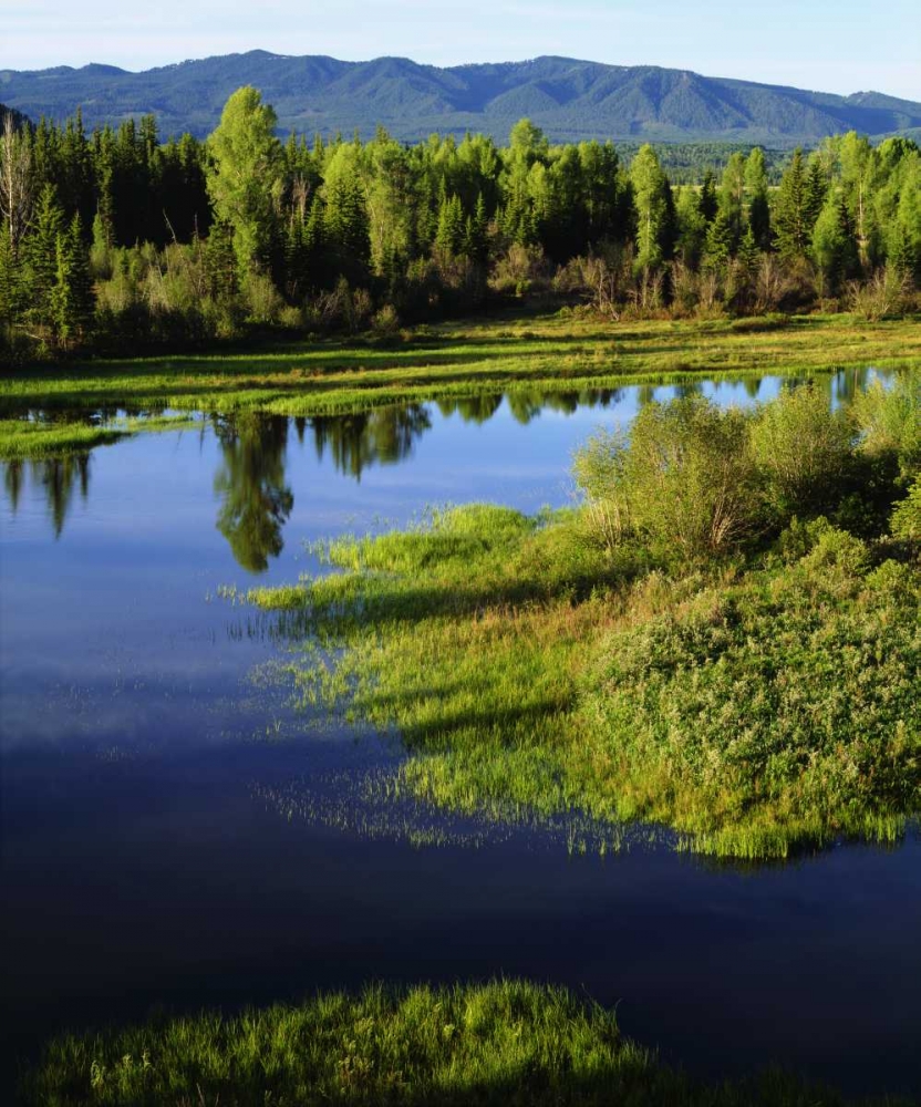 WY, Grand Tetons A Meadow in the Grand Tetons art print by Christopher Talbot Frank for $57.95 CAD