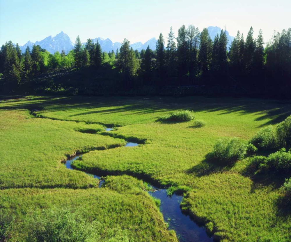 WY, Grand Tetons Grand Tetons and a lush meadow art print by Christopher Talbot Frank for $57.95 CAD