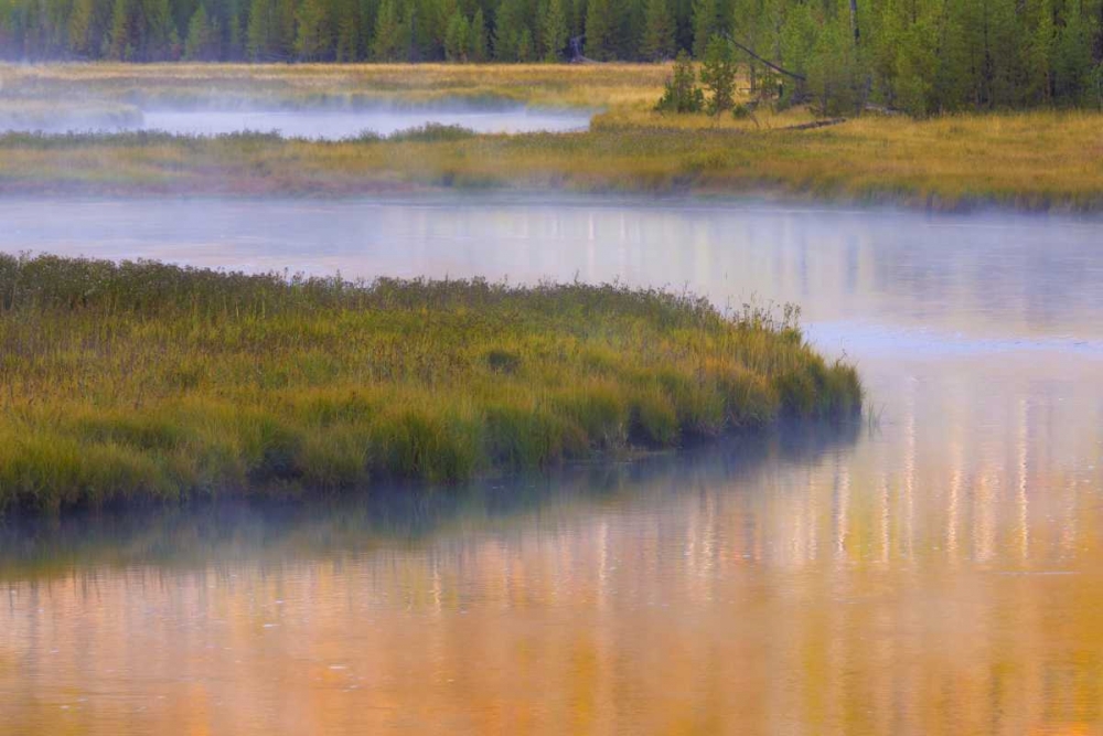 Wyoming, Yellowstone Morning at Madison River art print by Don Paulson for $57.95 CAD