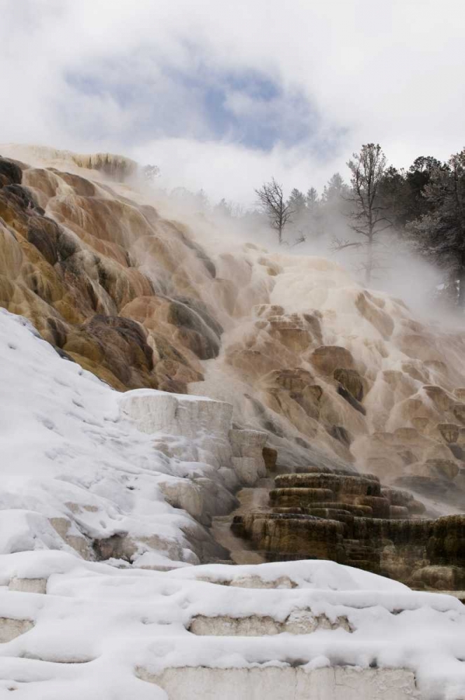 Wyoming, Yellowstone Mammoth Hot Springs scenic art print by Marie Bush for $57.95 CAD