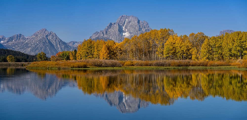USA-Wyoming-Grand Teton National Park Panoramic of  reflected in Oxbow Bend in autumn art print by Jaynes Gallery for $57.95 CAD