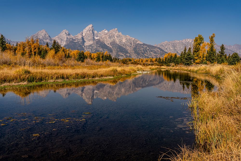 USA-Montana-Grand Teton National Park Grand Teton Range and stream reflects in stream art print by Jaynes Gallery for $57.95 CAD