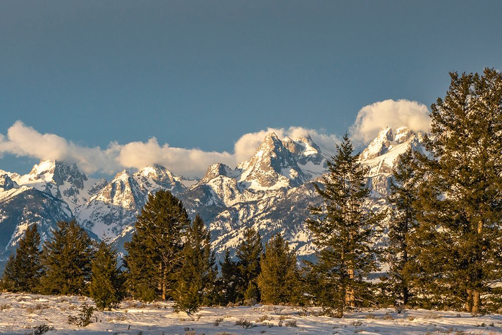 USA- Wyoming- Grand Teton National Park. Grand Tetons in winter. art print by Jaynes Gallery for $57.95 CAD