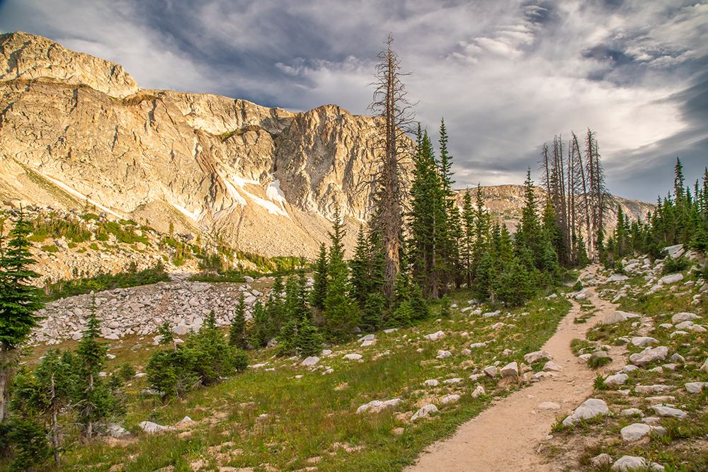 Wyoming, Medicine Bow National Forest, Snowy Range. Landscape with mountain and Lookout Lake Trail. art print by Jaynes Gallery for $57.95 CAD