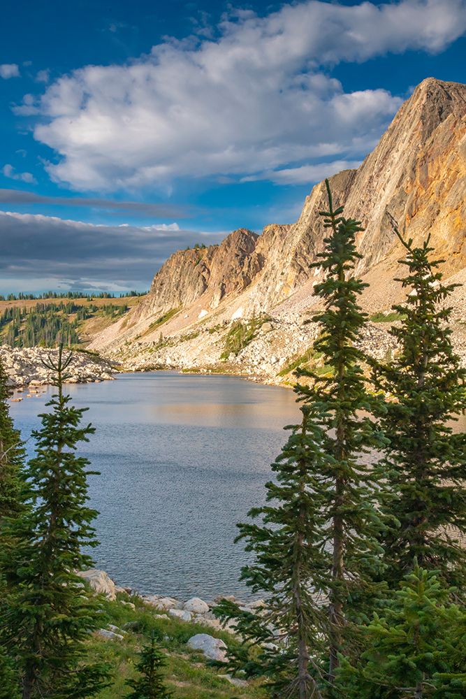 USA, Wyoming, Medicine Bow National Forest. Landscape with Lookout Lake and mountain. art print by Jaynes Gallery for $57.95 CAD