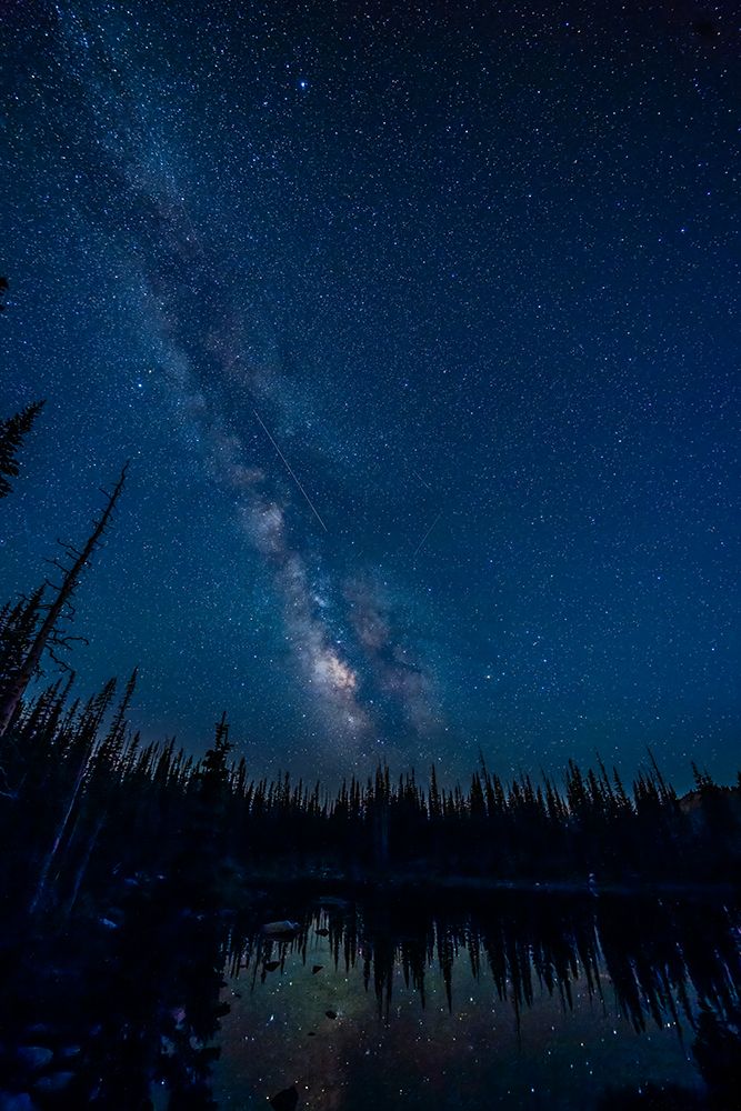 Wyoming, Medicine Bow National Forest. Milky Way and shooting stars from Perseids meteor shower. art print by Jaynes Gallery for $57.95 CAD