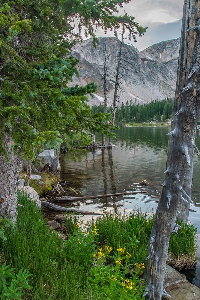 USA, Wyoming, Medicine Bow National Forest. Landscape with mountain and  Mirror Lake. art print by Jaynes Gallery for $57.95 CAD