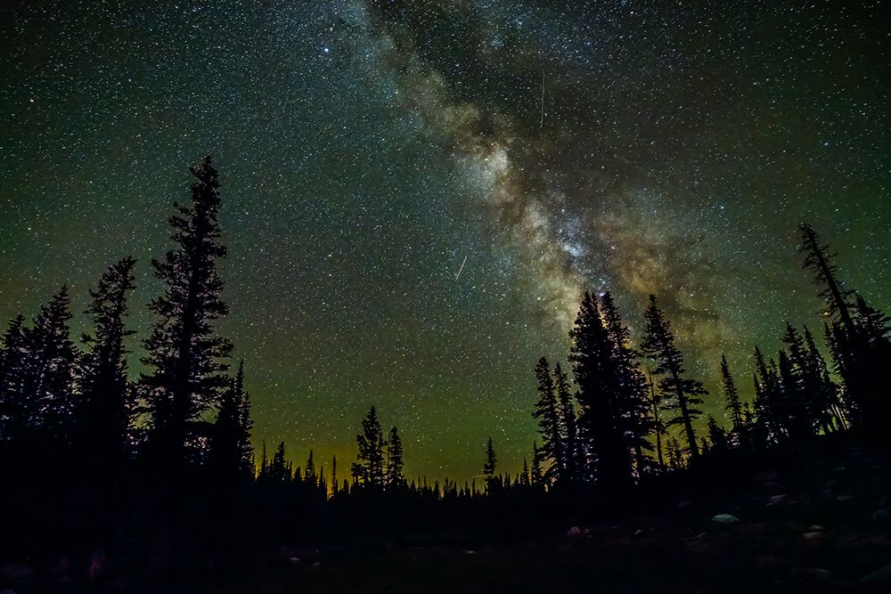 Wyoming, Medicine Bow National Forest. Milky Way and shooting stars from Perseids meteor shower. art print by Jaynes Gallery for $57.95 CAD