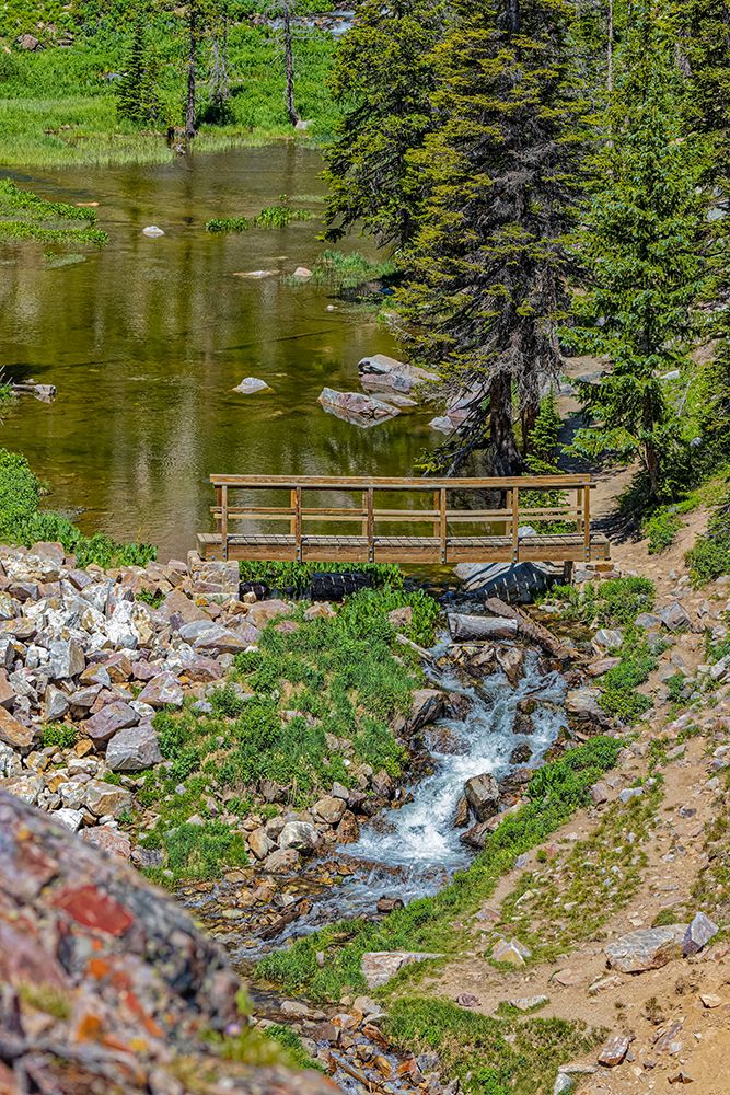 USA, Wyoming, Snowy Range. French Creek Canyon Bridge over stream. art print by Jaynes Gallery for $57.95 CAD