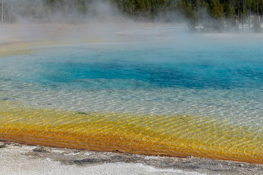 USA-Wyoming-Yellowstone National Park-Black Sand Basin-Rainbow Pool art print by Cindy Miller Hopkins for $57.95 CAD