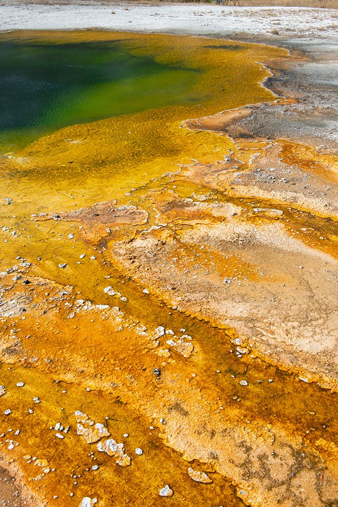 USA-Wyoming-Yellowstone National Park-Black Sand Basin-Emerald Pool-Green pool with yellow thermopi art print by Cindy Miller Hopkins for $57.95 CAD