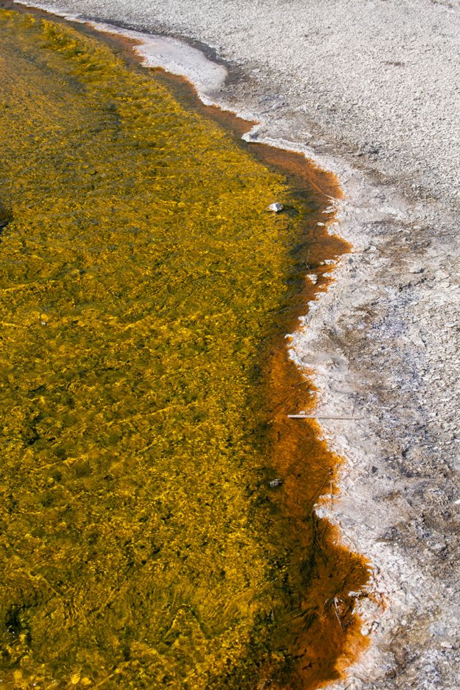 USA-Wyoming-Yellowstone National Park-Biscuit Basin-Sapphire Pool-colorful thermophile river and ba art print by Cindy Miller Hopkins for $57.95 CAD