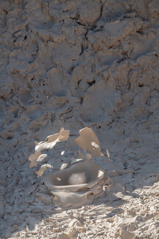 USA-Wyoming-Yellowstone National Park-Atrists Paintpots-Boiling hot mud pots-Detail of exploding bu art print by Cindy Miller Hopkins for $57.95 CAD