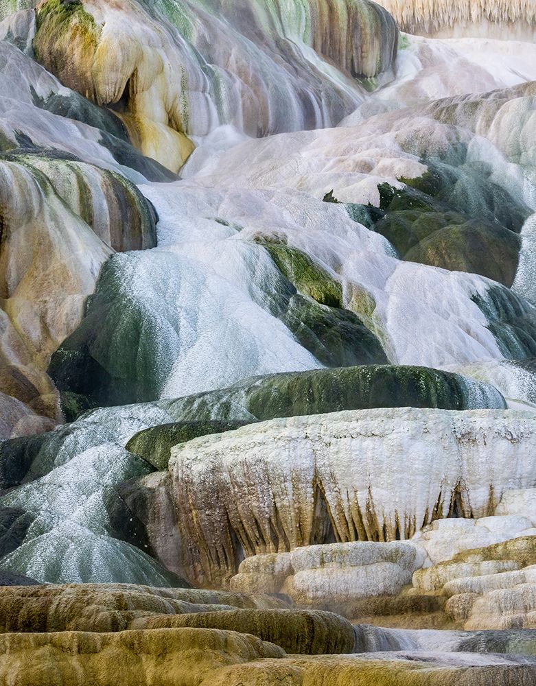 USA- Wyoming- Yellowstone National Park. Mammoth Hot Springs art print by Darrell Gulin for $57.95 CAD