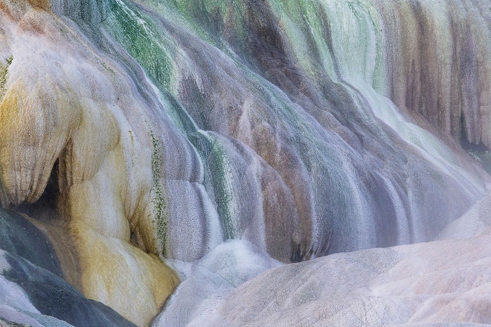 USA- Wyoming- Yellowstone National Park. Mammoth Hot Springs art print by Darrell Gulin for $57.95 CAD