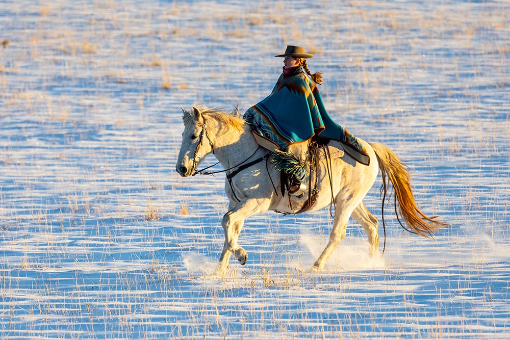 USA- Shell- Wyoming. Hideout Ranch cowgirl riding her horse in the snow. art print by Darrell Gulin for $57.95 CAD