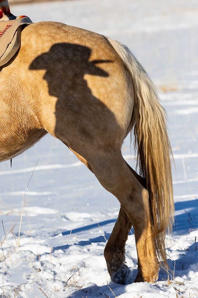 USA- Shell- Wyoming. Hideout Ranch Shadow of cowhand with hat on side of horse. art print by Darrell Gulin for $57.95 CAD