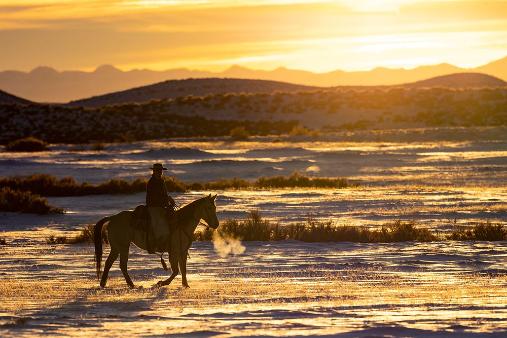 USA- Shell- Wyoming. Hideout Ranch sunset and silhouetted cowboy. art print by Darrell Gulin for $57.95 CAD