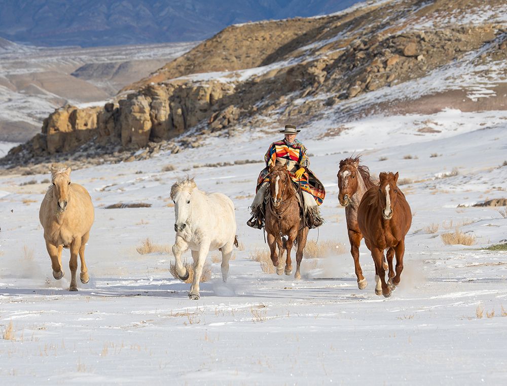 USA- Shell- Wyoming. Hideout Ranch cowboy riding and herding horses in snow. art print by Darrell Gulin for $57.95 CAD