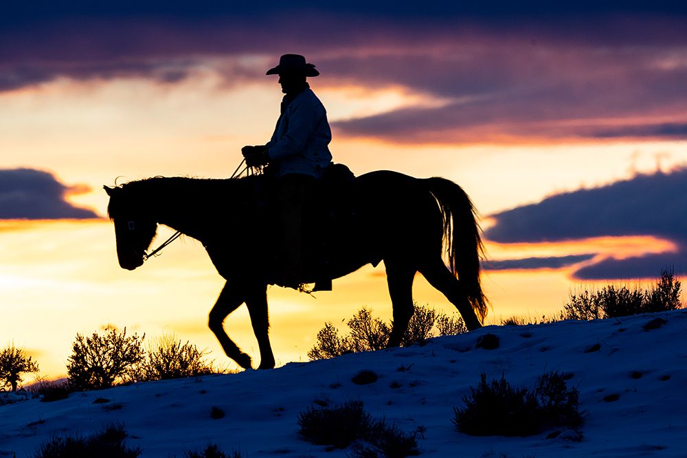 USA- Shell- Wyoming. Hideout Ranch cowboy on horseback silhouetted at sunset. art print by Darrell Gulin for $57.95 CAD