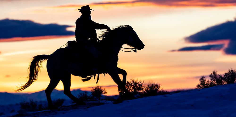 USA- Shell- Wyoming. Hideout Ranch cowgirl silhouetted on horseback at sunset. art print by Darrell Gulin for $57.95 CAD