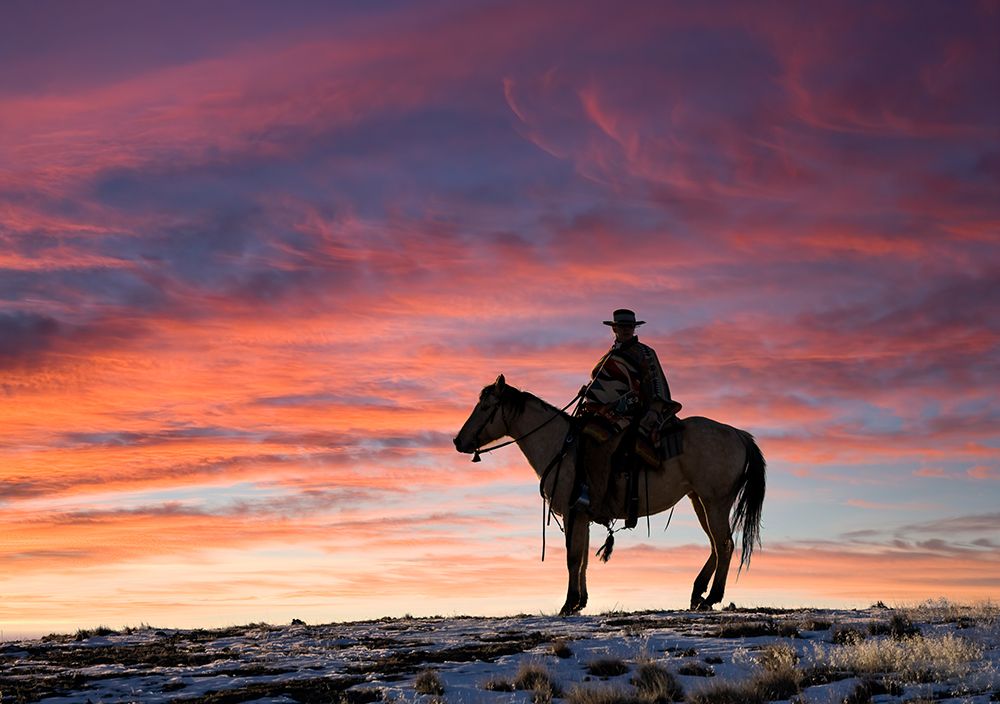 USA- Shell- Wyoming. Hideout Ranch cowgirl silhouetted on horseback at sunset. art print by Darrell Gulin for $57.95 CAD