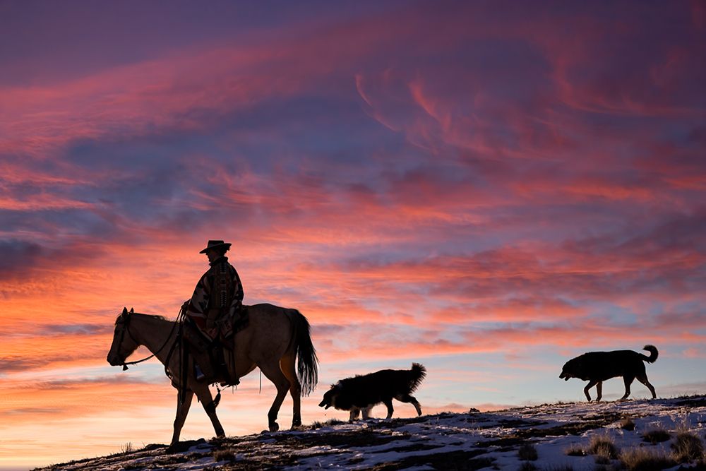 USA- Shell- Wyoming. Hideout Ranch cowgirl and her two dogs horseback riding at sunset. art print by Darrell Gulin for $57.95 CAD