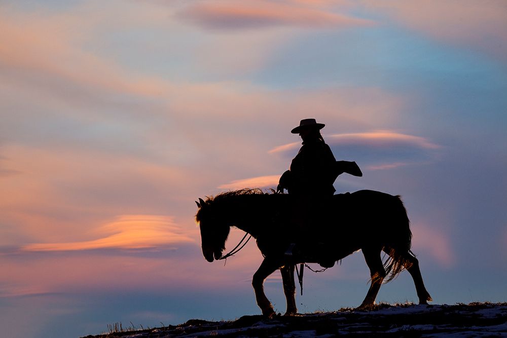 USA- Shell- Wyoming. Hideout Ranch cowgirl silhouetted on horseback at sunset. art print by Darrell Gulin for $57.95 CAD