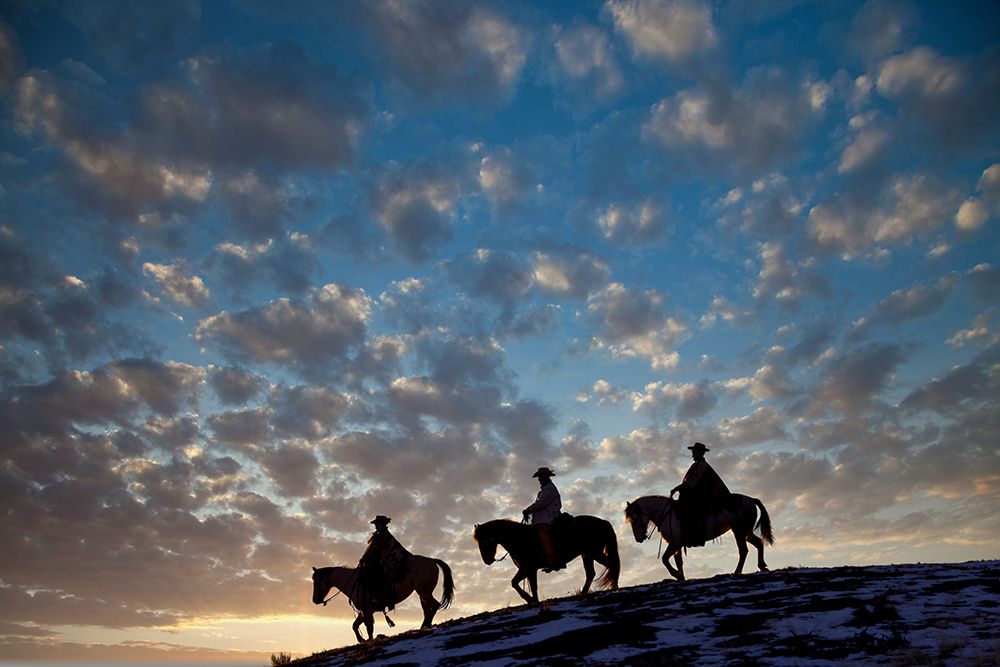 USA- Shell- Wyoming. Hideout Ranch cowboys and cowgirls art print by Darrell Gulin for $57.95 CAD