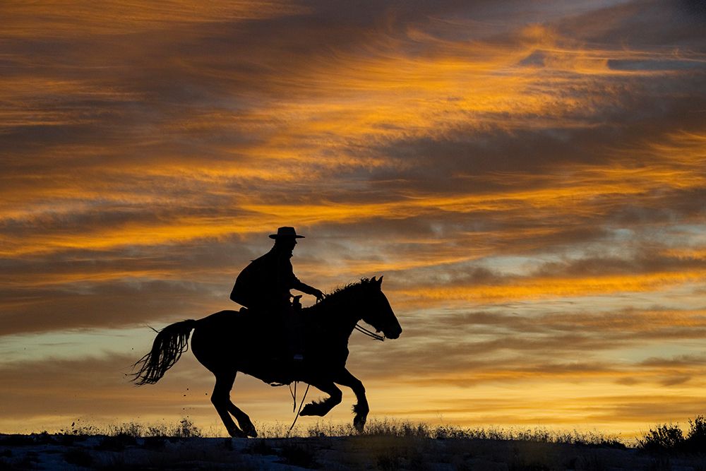 USA- Shell- Wyoming. Hideout Ranch cowgirl silhouetted on horseback at sunset. art print by Darrell Gulin for $57.95 CAD