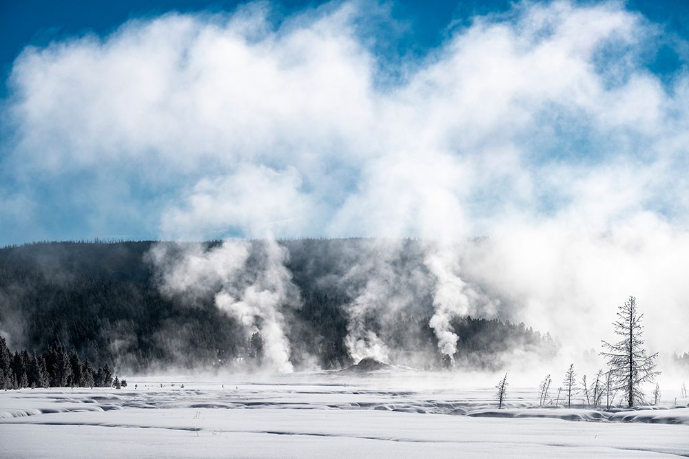 USA-Yellowstone-Norris Geyser Basin art print by George and Marilu Theodore for $57.95 CAD
