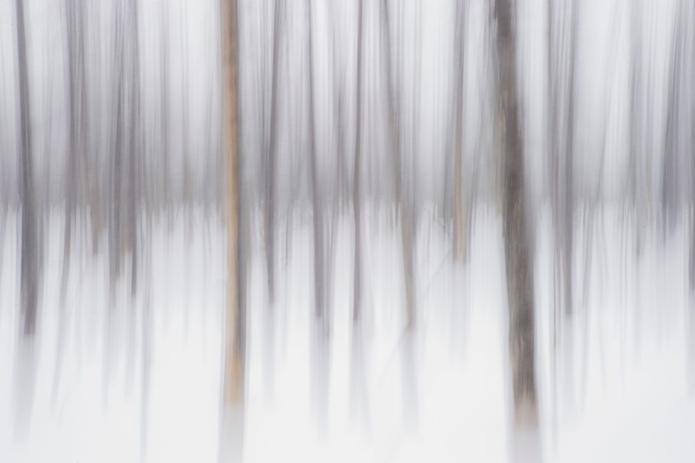 Abstract winter-Yellowstone art print by George and Marilu Theodore for $57.95 CAD