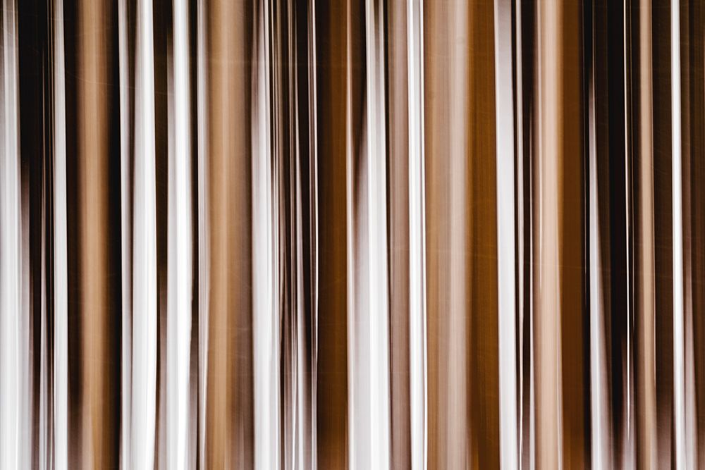 Abstract vertical tree trunks. art print by George and Marilu Theodore for $57.95 CAD