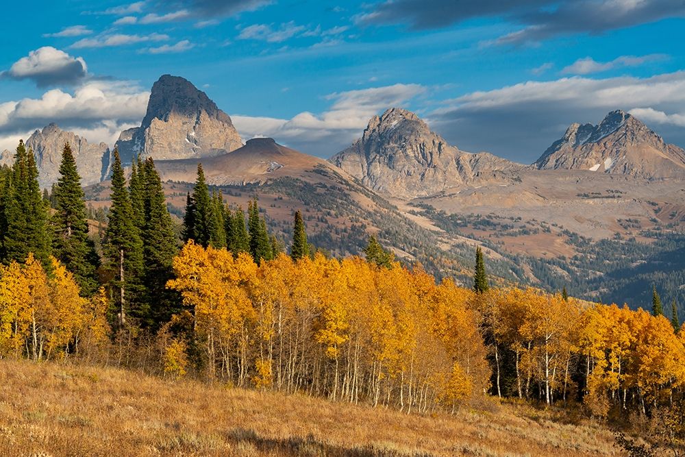 Landscape of Mt Owen-Grand Teton and Middle Teton from the west-golden fall foliage art print by Howie Garber for $57.95 CAD