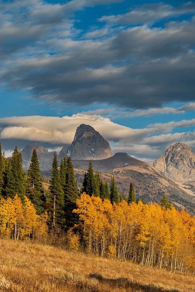 Landscape of Mt Owen-Grand Teton and Middle Teton from the west-golden fall foliage art print by Howie Garber for $57.95 CAD