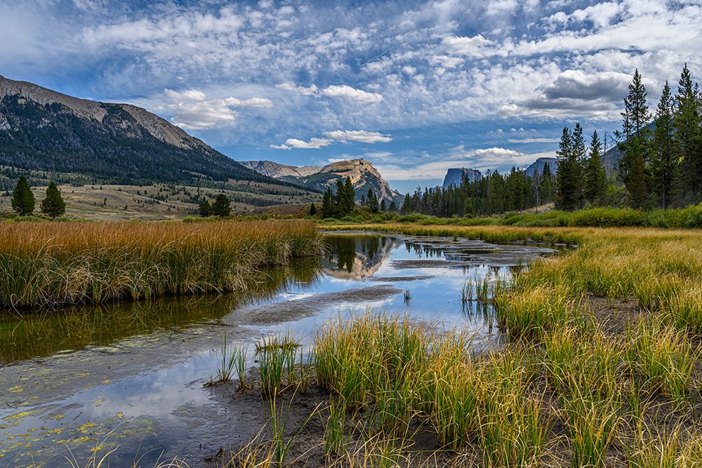 USA-Wyoming-White Rock Mountain and Squaretop Peak above Green River wetland art print by Howie Garber for $57.95 CAD